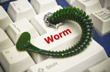 cryptoworm