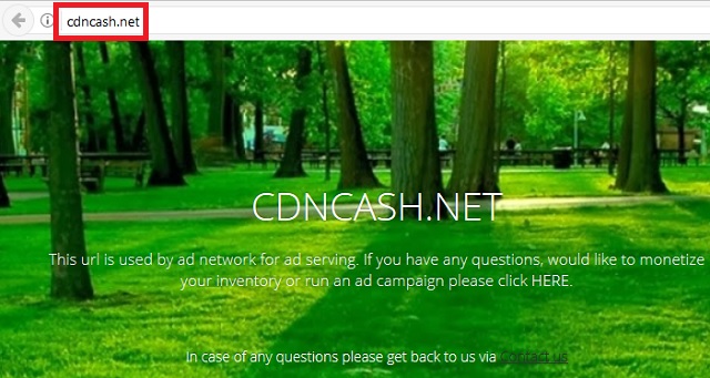 Remove CDNCash.net