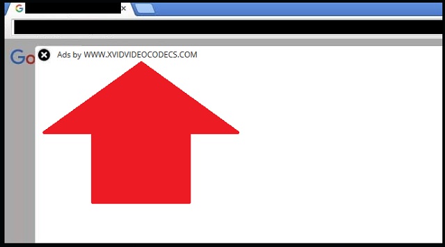 Remove www.Xvidvideocodecs.com