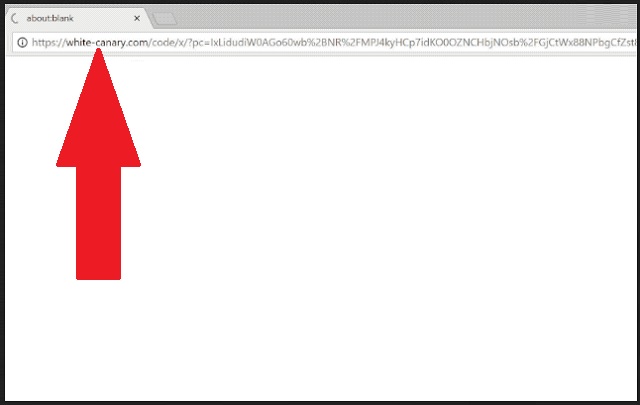 Remove White-canary.com